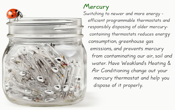 mercury